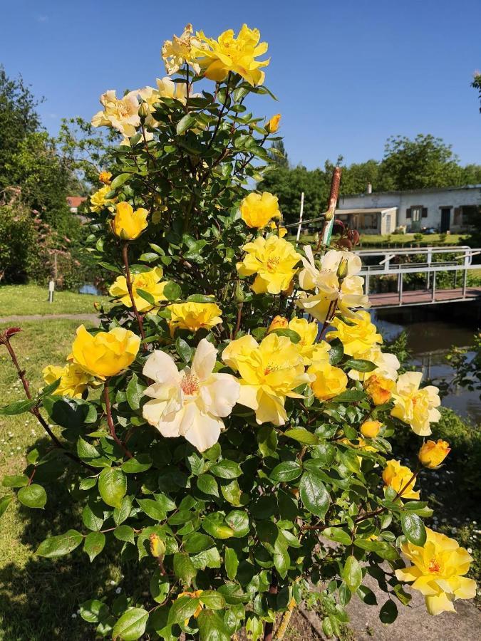 Le Cottage Des Hortillonnages Amiens Kültér fotó